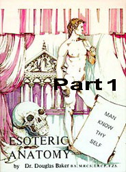 Esoteric Anatomy - Part 1