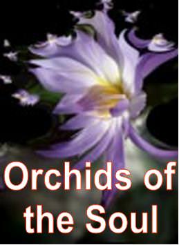 Orchids of the Soul