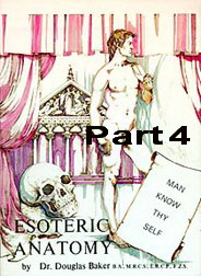 Esoteric Anatomy - Part 4 Esoteric Anatomy - Part 4