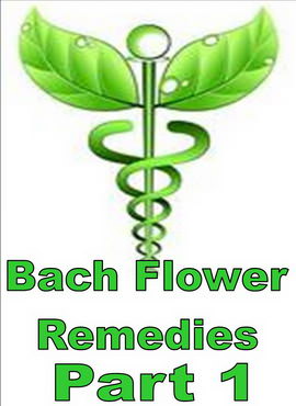 BACH FLOWER REMEDIES - PART 1 - Click Image to Close