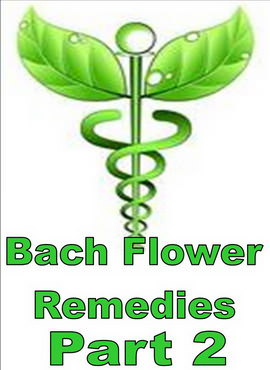 BACH FLOWER REMEDIES - PART 2 - Click Image to Close