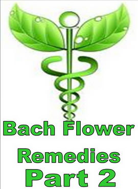 BACH FLOWER REMEDIES - PART 2