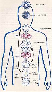 The Spleen Chakra