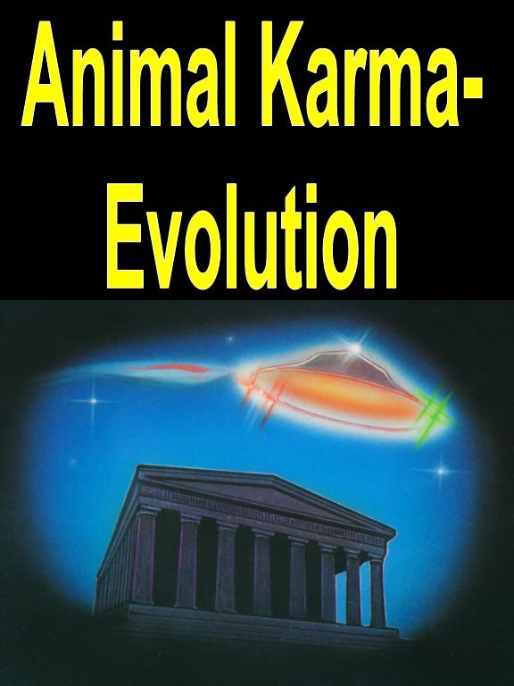 Animal Karma - Evolution
