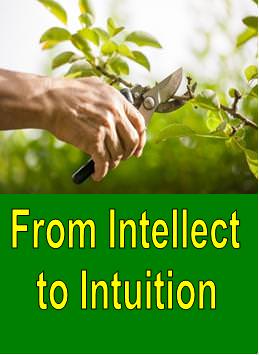 From Intellect to Intuition - Click Image to Close