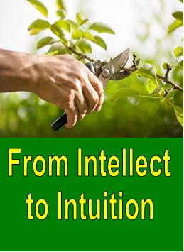 From Intellect to Intuition