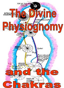 The Divine Physiognomy and the Chakras - by Joe Hayes - Click Image to Close