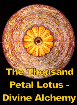 The Thousand Petal Lotus - Divine Alchemy - Click Image to Close