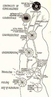 Meditation - The Chakras and Endocrine Glands - Click Image to Close