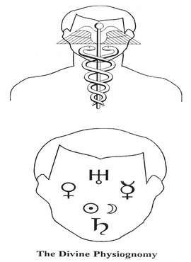 The Human Divine Physiognomy - Click Image to Close