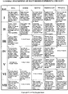 Man's Bodies & Rays Chart